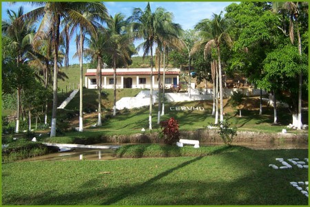 www.cervhu.com.br